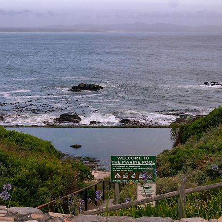 Goozi Garden Cottage Hermanus Exterior photo